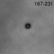 Image of proplyd disk shadow around ori 167-231