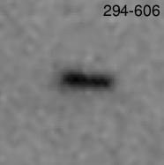 Image of proplyd disk shadow around ori 294-606